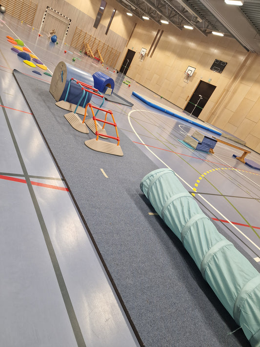 Akrobatikk barneskole